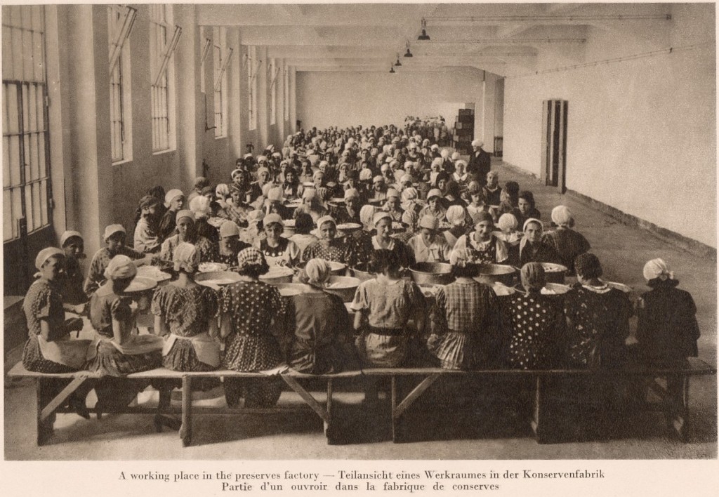 1940 nagykoros gschwindt32 AI videó készítés