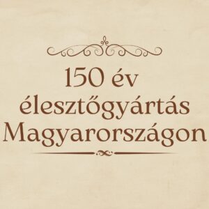borito elesztogyartas video Így készült: gyártörténeti dokumentumfilm AI-jal